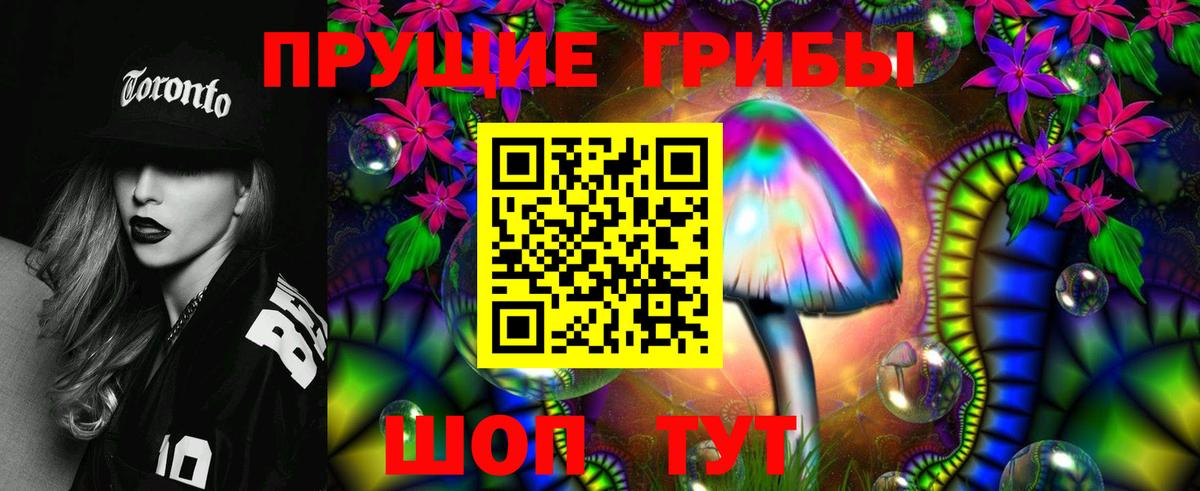 Минеральные Воды  Галлюциногенные грибы Psilocybine cubensis  Вход с VPN 