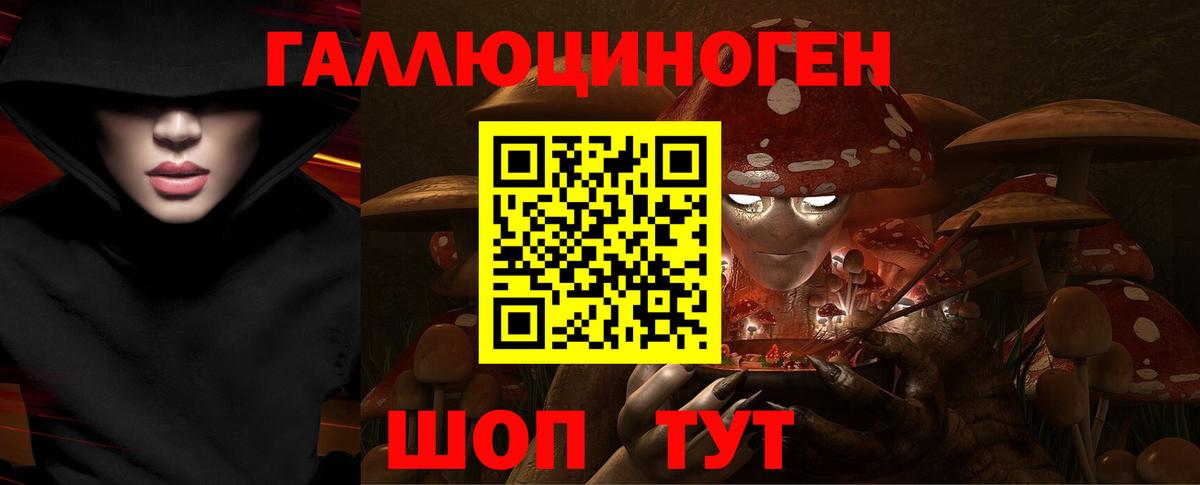 Псилоцибиновые грибы Cubensis Минеральные Воды
