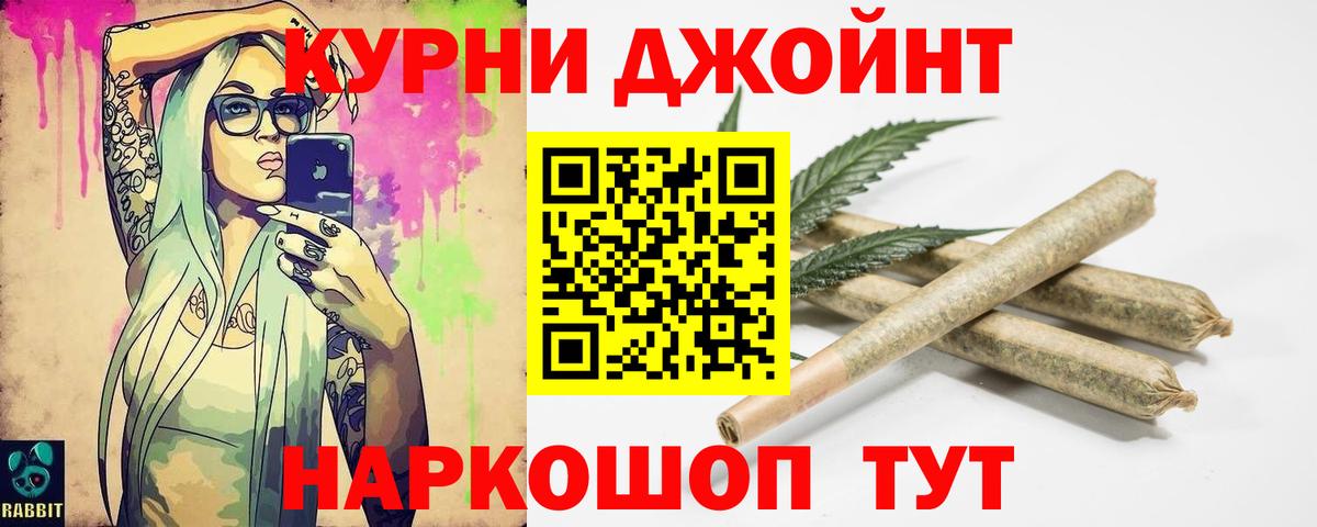 Каннабис сатива Минеральные Воды